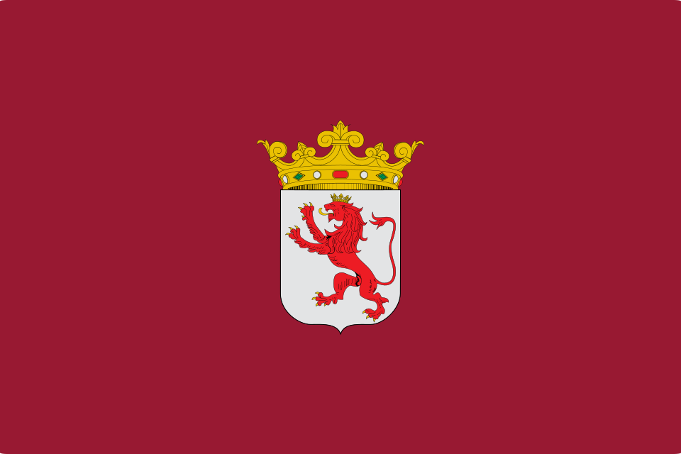 Bandera de León (provincia)