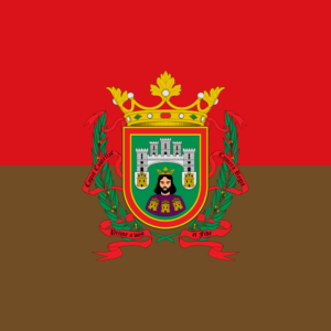 Bandera de Burgos