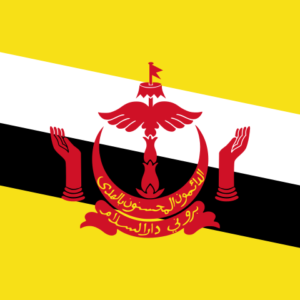 Bandera de Brunéi