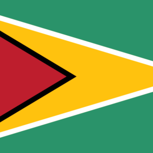 Bandera de Guyana